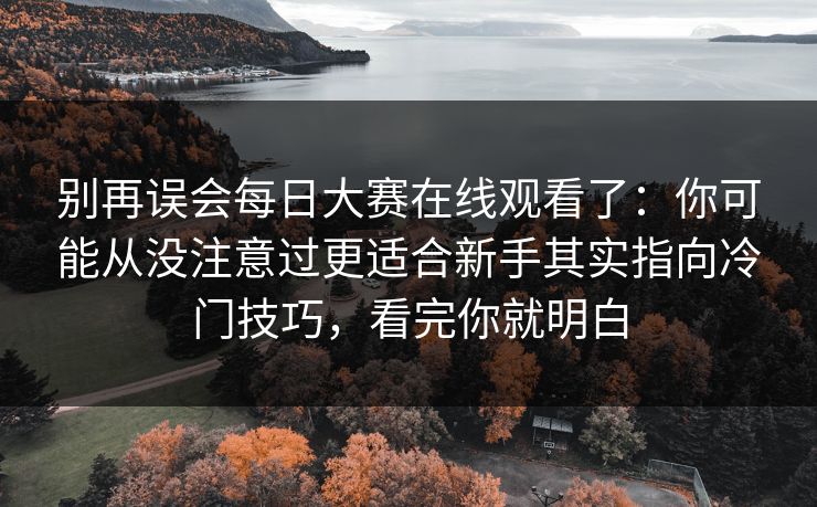别再误会每日大赛在线观看了：你可能从没注意过更适合新手其实指向冷门技巧，看完你就明白